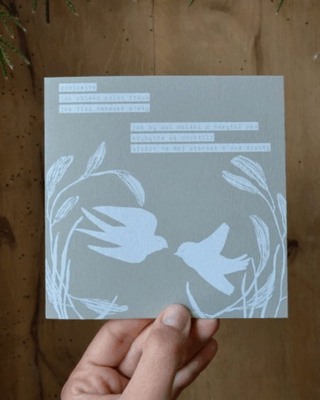 Polní tráva - prianie | Solí_ze_mě